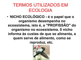 TERMOS UTILIZADOS EM
ECOLOGIA
• NICHO ECOLÓGICO - é o papel que o
organismo desempenha no
ecossistema, isto é, a "PROFISSÃO" do
organismo no ecossistema. 0 nicho
informa às custas de que se alimenta, a
quem serve de alimento, como se
reproduz, etc.
 