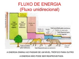 FLUXO DE ENERGIA
(Fluxo unidirecional)
A ENERGIA DIMINUI AO PASSAR DE UM NÍVEL TRÓFICO PARA OUTRO
A ENERGIA NÃO PODE SER REAPROVEITADA
 