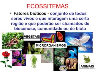 ECOSSITEMAS
• Fatores bióticos - conjunto de todos
seres vivos e que interagem uma certa
região e que poderão ser chamados de
biocenose, comunidade ou de biota
VEGETAIS
MICRORGANISMOS
ANIMAIS
 