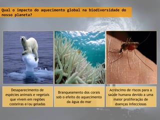 Qual o impacto do aquecimento global na biodiversidade do
nosso planeta?
Desaparecimento de
espécies animais e vegetais
que vivem em regiões
costeiras e/ou geladas
Branqueamento dos corais
sob o efeito do aquecimento
da água do mar
Acréscimo de riscos para a
saúde humana devido a uma
maior proliferação de
doenças infecciosas
 