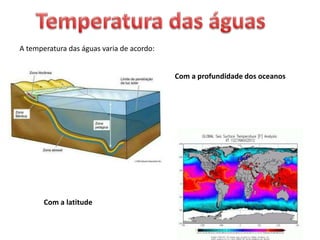 A temperatura das águas varia de acordo:
Com a profundidade dos oceanos
Com a latitude
 
