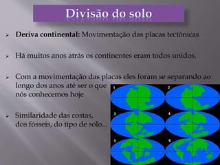  Deriva continental: Movimentação das placas tectônicas
 Há muitos anos atrás os continentes eram todos unidos.
 Com a movimentação das placas eles foram se separando ao
longo dos anos até ser o que
nós conhecemos hoje
 Similaridade das costas,
dos fósseis, do tipo de solo...
 