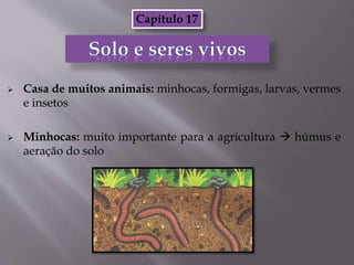  Casa de muitos animais: minhocas, formigas, larvas, vermes
e insetos
 Minhocas: muito importante para a agricultura  húmus e
aeração do solo
Capítulo 17
 