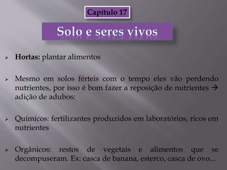  Hortas: plantar alimentos
 Mesmo em solos férteis com o tempo eles vão perdendo
nutrientes, por isso é bom fazer a reposição de nutrientes 
adição de adubos:
 Químicos: fertilizantes produzidos em laboratórios, ricos em
nutrientes
 Orgânicos: restos de vegetais e alimentos que se
decompuseram. Ex: casca de banana, esterco, casca de ovo...
Capítulo 17
 