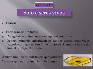  Fósseis:
 Formação de um fóssil:
1) O vegetal ou animal morre e depois é enterrado
2) Depois, minerais substituem os tecidos desses seres vivos
fazendo com que no fim fique um fóssil da mesma forma do
animal ou vegetal original
Âmbar: um tipo de substância que conserva
Os seres que morreram há muito tempo
Capítulo 17
 