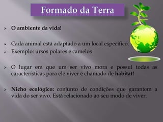  O ambiente da vida!
 Cada animal está adaptado a um local específico.
 Exemplo: ursos polares e camelos
 O lugar em que um ser vivo mora e possui todas as
características para ele viver é chamado de habitat!
 Nicho ecológico: conjunto de condições que garantem a
vida do ser vivo. Está relacionado ao seu modo de viver.
 