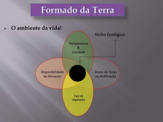  O ambiente da vida!
 