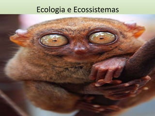 Ecologia e Ecossistemas
 