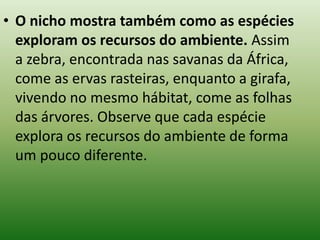 • O nicho mostra também como as espécies
  exploram os recursos do ambiente. Assim
  a zebra, encontrada nas savanas da África,
  come as ervas rasteiras, enquanto a girafa,
  vivendo no mesmo hábitat, come as folhas
  das árvores. Observe que cada espécie
  explora os recursos do ambiente de forma
  um pouco diferente.
 