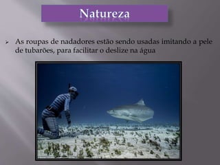  As roupas de nadadores estão sendo usadas imitando a pele
de tubarões, para facilitar o deslize na água
 