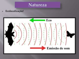  Ecolocalização!
 