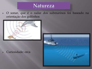  O sonar, que é o radar dos submarinos foi baseado na
orientação dos golfinhos
 Curiosidade: orca
 
