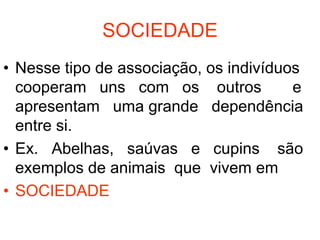 SOCIEDADE
• Nesse tipo de associação, os indivíduos
  cooperam uns com os outros            e
  apresentam uma grande dependência
  entre si.
• Ex. Abelhas, saúvas e cupins são
  exemplos de animais que vivem em
• SOCIEDADE
 