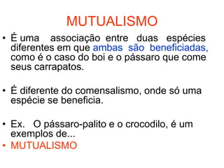MUTUALISMO
• É uma associação entre duas espécies
  diferentes em que ambas são beneficiadas,
  como é o caso do boi e o pássaro que come
  seus carrapatos.

• É diferente do comensalismo, onde só uma
  espécie se beneficia.

• Ex. O pássaro-palito e o crocodilo, é um
  exemplos de...
• MUTUALISMO
 
