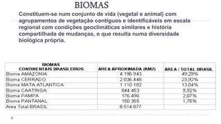 Biomas brasileiros - Planos de aula - 4°ano - Geografia
