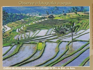 Observe a fotografia a seguir.
Cultivo de arroz em terraços, em um vale da ilha de Bali, na Ásia.
Age
FotoStock/Keystock/Keystone
Parte
integrante
da
obra
Geografia
Homem
&
Espaço,
Editora
Saraiva
 