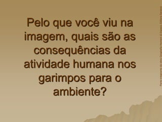 Pelo que você viu na
imagem, quais são as
consequências da
atividade humana nos
garimpos para o
ambiente?
Parte
integrante
da
obra
Geografia
Homem
&
Espaço,
Editora
Saraiva
 