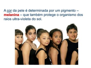 Protecção – a pele é elástica e resistente, impedindo a entrada de micróbios e substâncias estranhas ao organismo.Regulação da temperatura – a produção de suór ajuda a manter a temperatura do corpo constante.Respiração – a hematose cutânea – trocas gasosas entre o meio interno e externo através da pele – ocupa uma importante percentagem da respiração do organismo.