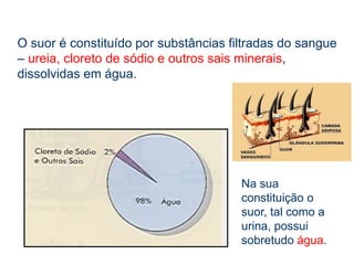 Sempre que a temperatura do nosso corpo aumenta demasiado, devido ao clima ou à actividade física, escorre suor através dos poros da pele. A evaporação do suor faz baixar a temperatura corporal.