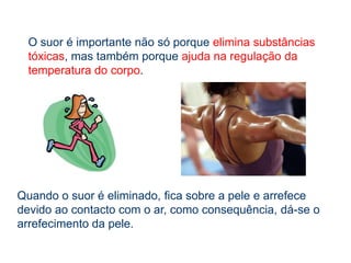 O suor é constituído por substâncias filtradas do sangue – ureia, cloreto de sódio e outros sais minerais, dissolvidas em água.Na sua constituição o suor, tal como a urina, possui sobretudo água.