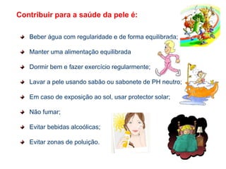 Glândulas sebáceasProduzem o sebo – gordura natural – que é muito importante para a elasticidade da pele.