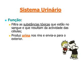 Contribuir para a saúde da pele é:   Beber água com regularidade e de forma equilibrada;   Manter uma alimentação equilibrada   Dormir bem e fazer exercício regularmente;   Lavar a pele usando sabão ou sabonete de PH neutro;   Em caso de exposição ao sol, usar protector solar;   Não fumar;   Evitar bebidas alcoólicas;   Evitar zonas de poluição.
