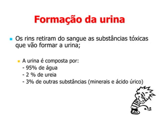 Rins:Órgãos em forma de feijãoServem para filtrar o sangue, limpando-o de toxinas e produtos da actividade das células;Essas toxinas e produtos de actividade das células vão formar a urina;Os rins expulsam a urina para a bexiga;