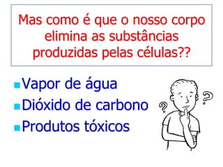 Mas como é que o nosso corpo elimina as substâncias produzidas pelas células??Vapor de águaDióxido de carbonoProdutos tóxicos