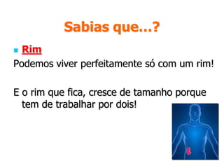 Sabias que…?Suór e urinaSentimos menos vontade de urinar quando suamos, para evitar a desidratação.