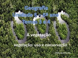 Vegetação: uso e conservação
A vegetação
Professora Christie
 