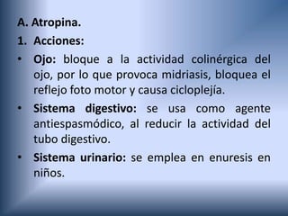 A. Atropina.
1. Acciones:
• Ojo: bloque a la actividad colinérgica del
ojo, por lo que provoca midriasis, bloquea el
reflejo foto motor y causa cicloplejía.
• Sistema digestivo: se usa como agente
antiespasmódico, al reducir la actividad del
tubo digestivo.
• Sistema urinario: se emplea en enuresis en
niños.
 