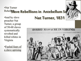 Slave Rebellions in Antebellum South: 
Nat Turner, 1831 
•Nat Turner 
Rebellion 
•lead by slave 
preacher Nat 
Turner, a group 
of 50-60 slaves 
systematically 
revolted and 
killed whites in 
Virginia 
•Fueled fears of 
a slave uprising 
 