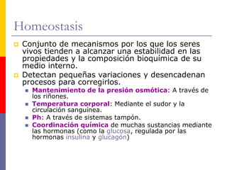 Homeostasis
 Conjunto de mecanismos por los que los seres
vivos tienden a alcanzar una estabilidad en las
propiedades y la composición bioquímica de su
medio interno.
 Detectan pequeñas variaciones y desencadenan
procesos para corregirlos.
 Mantenimiento de la presión osmótica: A través de
los riñones.
 Temperatura corporal: Mediante el sudor y la
circulación sanguínea.
 Ph: A través de sistemas tampón.
 Coordinación química de muchas sustancias mediante
las hormonas (como la glucosa, regulada por las
hormonas insulina y glucagón)
 