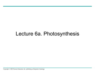 Lecture 6a. Photosynthesis 
Copyright © 2005 Pearson Education, Inc. publishing as Benjamin Cummings 
 