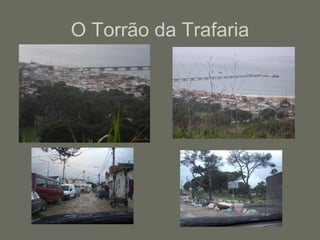 O Torrão da Trafaria 
