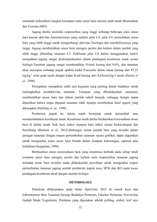 52
menandai keberadaan maupun ketiadaan suatu unsur hara tertentu pada tanah (Rusmarkan
dan Yuwono,2002).
Jagung dinilai memiliki responsifitas yang tinggi terhadap beberapa jenis unsur
hara karena aktivitas fotosintesisnya yang melalui jalur C4, jalur C4 memerlukan unsur
hara yang lebih tinggi untuk mengimbangi aktivitas fisiologis dan metabolismenya yang
tinggi. Jagung membutuhkan unsur hara nitrogen, posfor dan kalium dalam jumlah yang
lebih tinggi dibanding tanaman C3. Kekhasan jalur C4 dalam menggunakan nutrisi
menjadikan jagung sangat direkomendasikan dalam pendugaan kesuburan tanah secara
biologis.Tanaman jagung sangat membutuhkan N-total kurang dari 0,4%, dan tanaman
akan merespon terhadap pupuk apabila kadar P-tersedia dalam tanah kurang dari 87,32
mg.kg-1
serta pada tanah dengan kadar K-dd kurang dari 0,43cmol.kg-1 tanah (Sutoro et
al., 1998).
Pemupukan merupakan salah satu kegiatan yang penting dalam budidaya untuk
meningkatkan produktivitas tanaman. Tamanan yang dibudidayakan umumnya
membutuhkan unsur hara dan dalam jumlah relatif banyak, sehingga hampir dapat
dipastikan bahwa tanpa dipupuk tanaman tidak mampu memberikan hasil seperti yang
diharapkan (Halliday et. al,. 1998).
Pemberian pupuk ke dalam tanah bertujuan untuk menambah atau
mempertahankan kesuburan tanah. Kesuburan tanah dinilai berdasarkan ketersediaan unsur
hara di dalam tanah, baik hara makro maupun hara mikro secara berkecukupan dan
berimbang (Bustami et al., 2012).Hubungan antara jumlah hara yang tersedia dalam
jaringan tanaman dengan respon pertumbuhan tanaman secara grafikal, dapat digunakan
untuk mengetahui suatu unsur hara berada dalam keadaan kekurangan, optimal atau
kelebihan (Soepartini, 1990).
Berdasarkan status ketersediaan hara yang senantiasa berbeda pada setiap tanah
terutama unsur hara nitrogen, posfor dan kalium serta responsifitas tanaman jagung
terhadap unsur hara tersebut maka dilakukanlah percobaan untuk mengetahui respon
pertumbuhan tanaman jagung setelah pemberian pupuk urea, SP36 dan KCl pada kasus
pendugaan kesuburan tanah dengan metode biologis
METODOLOGI
Penelitian dilaksanakan pada bulan April-Juni 2015 di rumah kaca dan
Laboratorium Ilmu Tanaman Jurusan Budidaya Pertanian, Fakultas Pertanian, Universitas
Gadjah Mada Yogyakarta. Peralatan yang digunakan adalah polibag, ember, leaf area
 