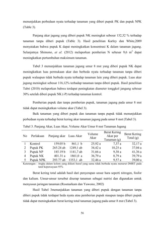 56
menunjukkan perbedaan nyata terhadap tanaman yang diberi pupuk PK dan pupuk NPK
(Table 3).
Panjang akar jagung yang diberi pupuk NK meningkat sebesar 152,32 % terhadap
tanaman tanpa diberi pupuk (Table 3). Hasil penelitian Karley dan White,2009
menyatakan bahwa pupuk K dapat meningkatkan konsentrasi K dalam tanaman jagung.
Selanjutnya Shimono, at al. (2012) melaporkan pemberian N sebesar 9,6 m2
dapat
meningkatkan pertumbuhan maksimum tanaman.
Tabel 3 menunjukkan tanaman jagung umur 8 mst yang diberi pupuk NK dapat
meningkatkan luas permukaan akar dan berbeda nyata terhadap tanaman tanpa diberi
pupuk walaupun tidak berbeda nyata terhadap tanaman lain yang diberi pupuk. Luas akar
jagung meningkat sebesar 116,12% terhadap tanaman tanpa diberi pupuk. Hasil penelitian
Tabri (2010) melaporkan bahwa terdapat peningkatan diameter tonggkol jangung sebesar
30% setelah diberi pupuk NK (-P) terhadap tanaman kontrol.
Pemberian pupuk dan tanpa pemberian pupuk, tanaman jagung pada umur 8 mst
tidak dapat meningkatkan volume akar (Tabel 3).
Baik tanaman yang diberi pupuk dan tanaman tanpa pupuk tidak menunjukkan
perbedaan nyata terhadap berat kering akar tanaman jagung pada umur 8 mst (Tabel 3).
Tabel 3. Panjang Akar, Luas Akar, Volume Akar Umur 8 mst Tanaman Jagung
No Perlakuan Panjang akar Luas Akar
Volume
Akar
Berat Kering
Akar per
Tanaman (g)
Berat Kering
Total (g)
1 Kontrol 159.05 b 861,1 b 25,92 a 7,37 a 32,17 a
2 Pupuk PK 265.24 ab 1249,1 ab 34,42 a 10,25 a 37,04 a
3 Pupuk NP 185.19 b 1141,7 ab 31,66 a 9,38 a 41,36 a
4 Pupuk NK 401.31 a 1861,0 a 36,79 a 8,79 a 39,79 a
5 Pupuk NPK 293.77 ab 1353,1 ab 32,46 a 9,57 a 39,00 a
Keterangan : Angka dalam kolom yang diikuti huruf yang sama tidak berbeda nyata menurut DMRT pada
taraf kepercayaan 95%
Berat kering total adalah hasil dari penyerapan unsur hara seperti nitrogen, fosfor
dan kalium. Unsur-unsur tersebut diserap tanaman sebagai nutrisi dan digunakan untuk
menyusun jaringan tanaman (Rosmarkam dan Yuwono, 2002)
Hasil Tabel 3menunjukkan tanaman yang diberi pupuk dengan tanaman tanpa
diberi pupuk tidak terdapat beda nyata atau pemberian pupuk maupun tanpa diberi pupuk
tidak dapat meningkatkan berat kering total tanaman jagung pada umur 8 mst (Tabel 3).
 