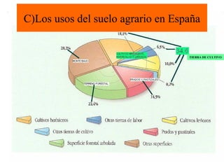 C)Los usos del suelo agrario en España
TIERRA DE CULTIVO
 