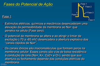 Fase 1
• Estímulos elétricos, químicos e mecânicos desencadeiam uma
elevação da permeabilidade da membrana ao Na+ que
penetra na célula (Fase zero).
• O potencial de membrana se altera e ao atingir o limiar de
excitação (-70 a -65 mV) desencadeia a abertura explosiva dos
“canais rápidos de Na+”.
• Os canais iônicos são macromoléculas que formam poros na
membrana celular. Esses canais são vias de baixa resistência
à condução de íons (Na+, K+, Ca2+ e Cl-), sendo que sua
abertura ou fechamento depende das condições elétricas da
membrana.
Fase 1
Fase 2
Fase 3
Fase 4
Fase 0
Fases do Potencial de Ação
CVSJr.
 