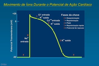 Movimento de Íons Durante o Potencial de Ação Cardíaco
CVSJr.
0 = Despolarização
1 = Repolarização
2 = Platô
3 = Repolarização rápida
4 = Potencial de repouso
Fases da chave
CI- entrada
K+ saída
1
Ca++entrada
K+ saída
2
3 K+ saída
4
4
0
Na+
entrada
+20
0
-90
Potencial
Trasmembrana
(mV)
 