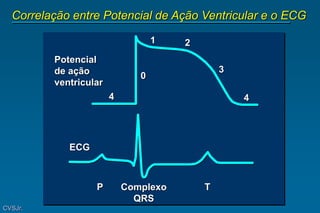 Correlação entre Potencial de Ação Ventricular e o ECG
CVSJr.
4
0
1 2
3
4
Potencial
de ação
ventricular
ECG
P T
Complexo
QRS
 