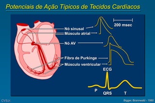 Potenciais de Ação Típicos de Tecidos Cardíacos
CVSJr. Bigger, Brannwald - 1980
Nó sinusal
Músculo atrial
Nó AV
Fibra de Purkinge
Músculo ventricular
ECG
QRS
P
T
200 msec
 