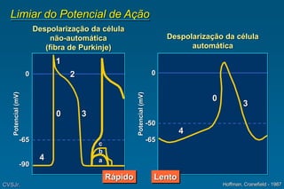 Limiar do Potencial de Ação
Potencial
(mV)
1
2
0 3
4
c
b
a
4
0
3
0
-50
-65
-65
-90
0
Potencial
(mV)
Despolarização da célula
não-automática
(fibra de Purkinje)
Despolarização da célula
automática
Hoffman, Cranefield - 1987
CVSJr.
Lento
Rápido
 