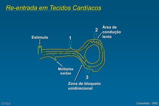 Re-entrada em Tecidos Cardíacos
Estímulo
Área de
condução
lenta
Zona de bloqueio
unidirecional
1
2
3
Cranefield - 1992
CVSJr.
Múltiplas
saídas
 
