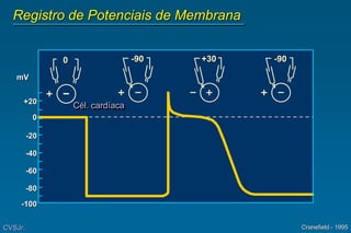 Registro de Potenciais de Membrana
CVSJr. Cranefield - 1995
-90
0 +30 -90
+20
0
-20
-40
-60
-80
-100
mV
Cél. cardíaca
 