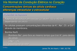 James TN. Am Heart J 1961, 62:756.
CVSJr.
Via Normal da Condução Elétrica no Coração
Concentrações iônicas da célula cardíaca:
diferenças intracelular e extracelular
Potencial de repouso
• Potencial intracelular em repouso (diástole): -50 a -90 mV,
dependendo da célula.
• As células possuem concentrações diferentes de K+, Na+, Cl-, e Ca2+
através da membrana.
• Bomba Na/K
• Bombeia Na+ para fora ao mesmo tempo que traz K+ para dentro
da célula
• 3 Na+ : 2K+
• Dependente de ATP
 