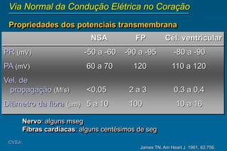 James TN. Am Heart J 1961, 62:756.
CVSJr.
Via Normal da Condução Elétrica no Coração
Propriedades dos potenciais transmembrana
NSA FP Cél. ventricular
PR (mV) -50 a -60 -90 a -95 -80 a -90
PA (mV) 60 a 70 120 110 a 120
Vel. de
propagação (M/s) <0,05 2 a 3 0,3 a 0,4
Diâmetro da fibra (m) 5 a 10 100 10 a 16
Nervo: alguns mseg
Fibras cardíacas: alguns centésimos de seg
 