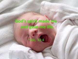 God’s spirit made me
  and gave me life.

      ~Job, 33:4
 