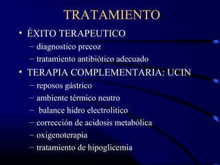 TRATAMIENTO
• ÉXITO TERAPEUTICO
– diagnostico precoz
– tratamiento antibiótico adecuado
• TERAPIA COMPLEMENTARIA: UCIN
– reposos gástrico
– ambiente térmico neutro
– balance hidro electrolitico
– corrección de acidosis metabólica
– oxigenoterapia
– tratamiento de hipoglicemia
 