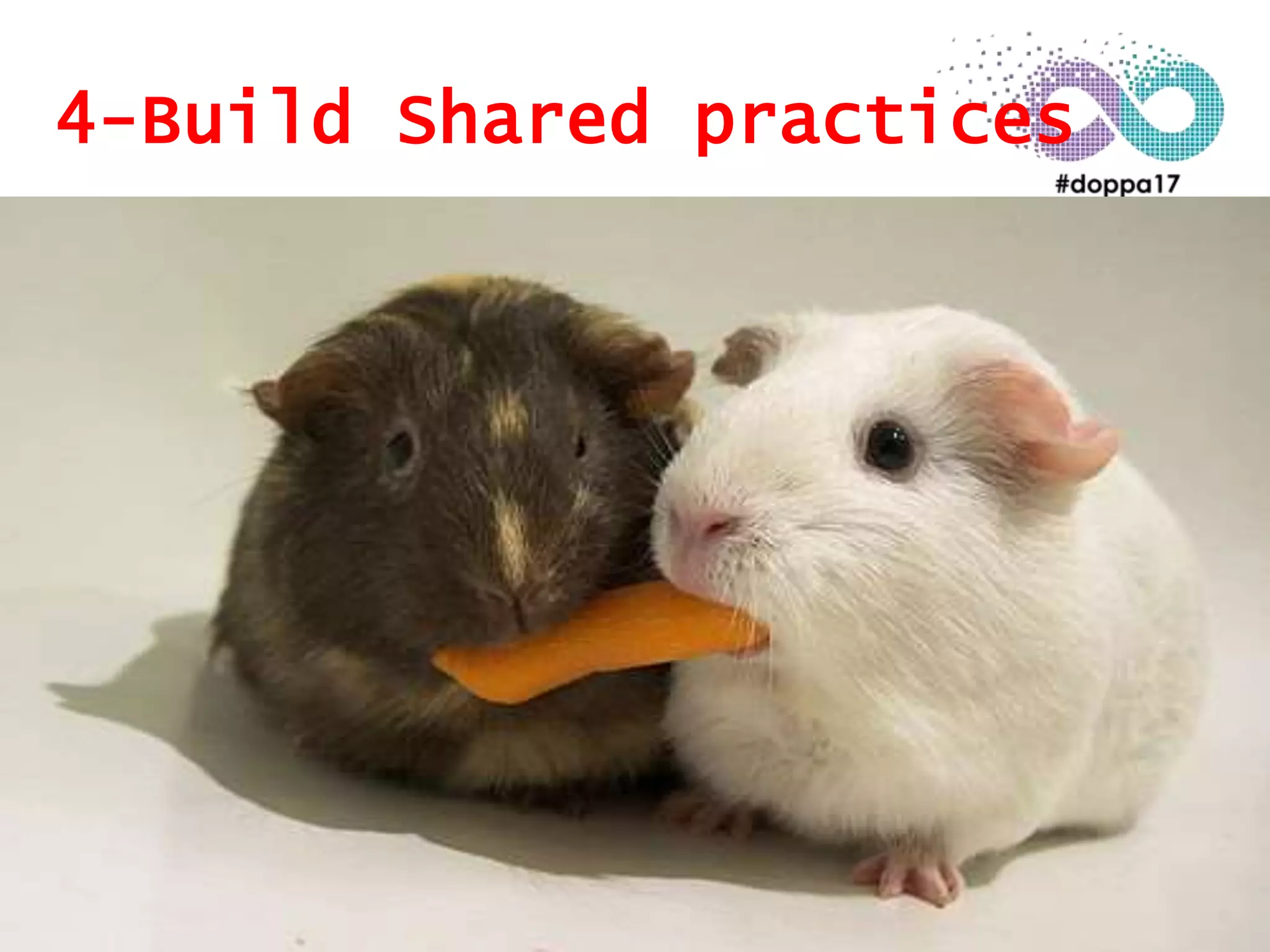 4-Build Shared practices
 